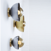 Curve Sconce